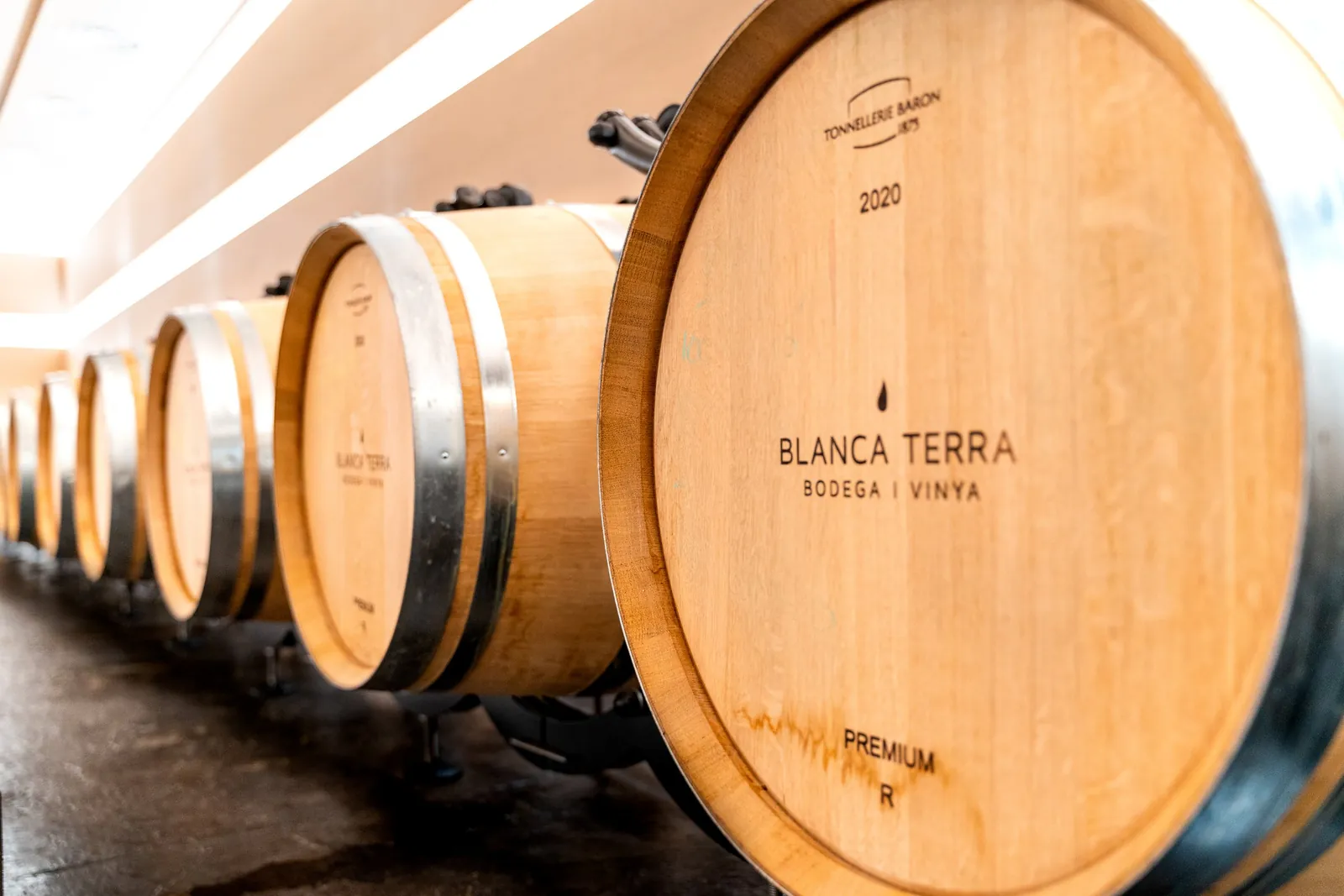 Barrica Blanca Terra Premium en la sala de crianza de la bodega de Montuïri Barrica Blanca Terra Premium en la sala de crianza de la bodega de Montuïri