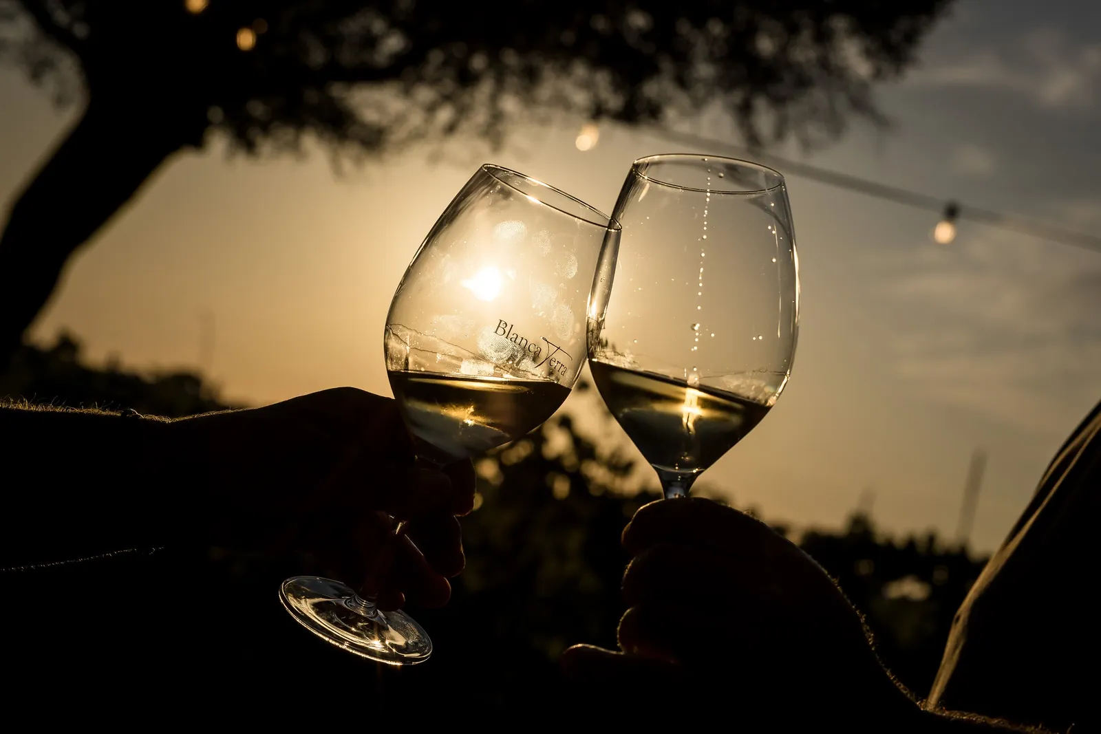 Brindis al atardecer entre los viñedos de Blanca Terra en Montuïri Brindis al atardecer entre los viñedos de Blanca Terra en Montuïri