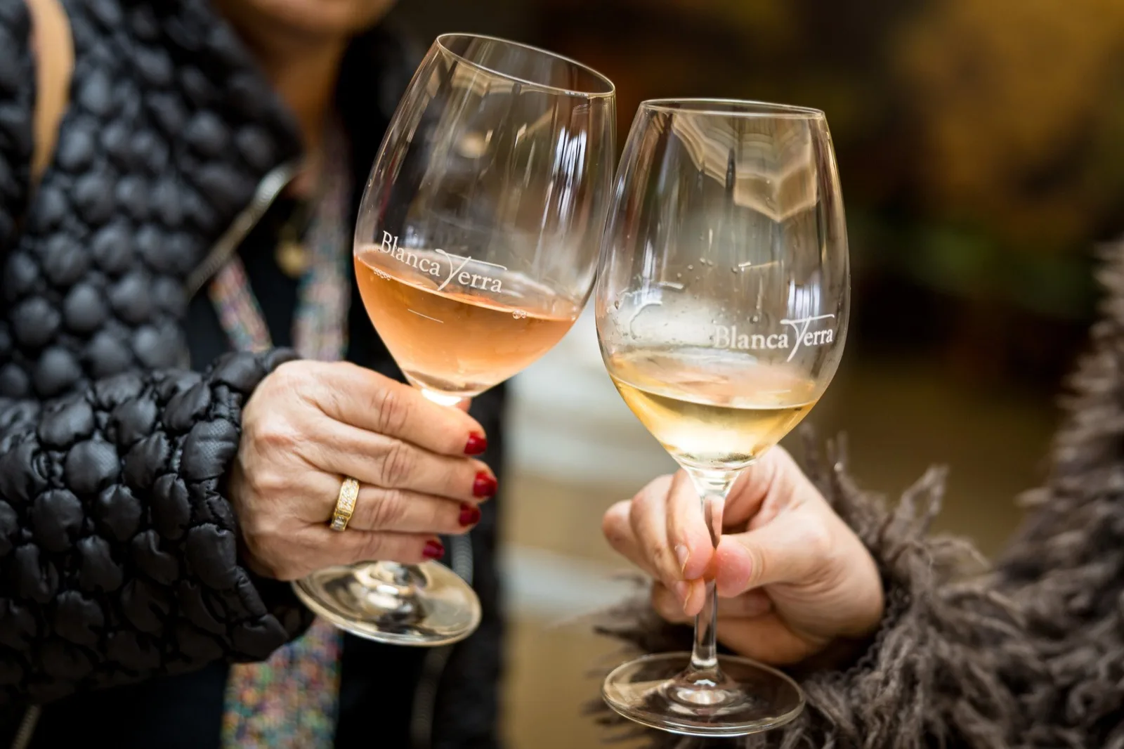 Brindis con vinos de Blanca Terra Brindis con vinos de Blanca Terra
