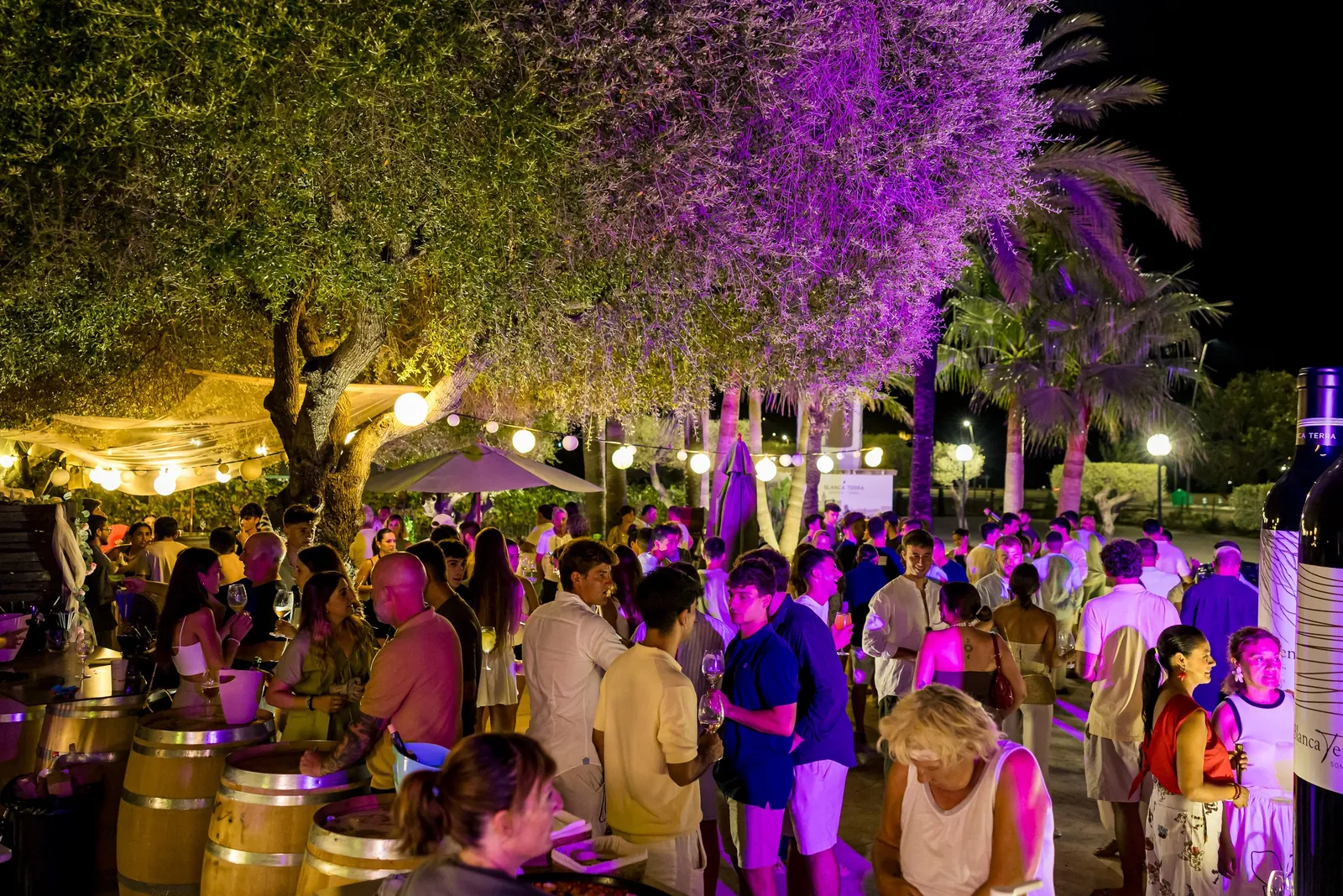 Fiesta nocturna al aire libre en la bodega Blanca Terra de Montuïri